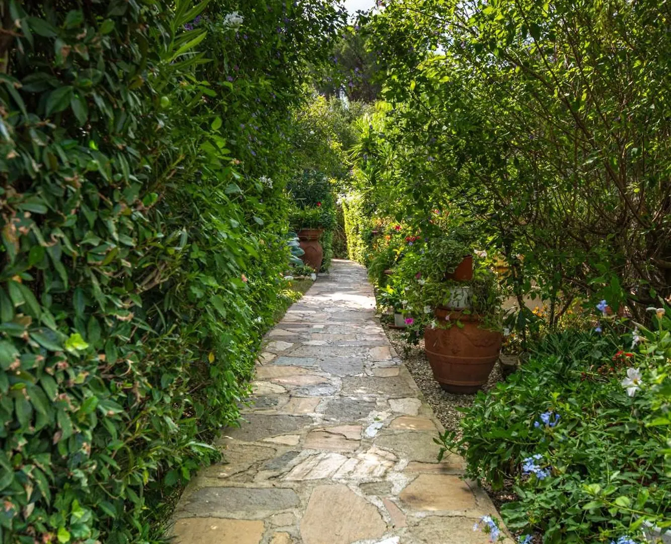 ***Villa Prestige**** Capoliveri  0*, Capoliveri (Isola d'Elba)