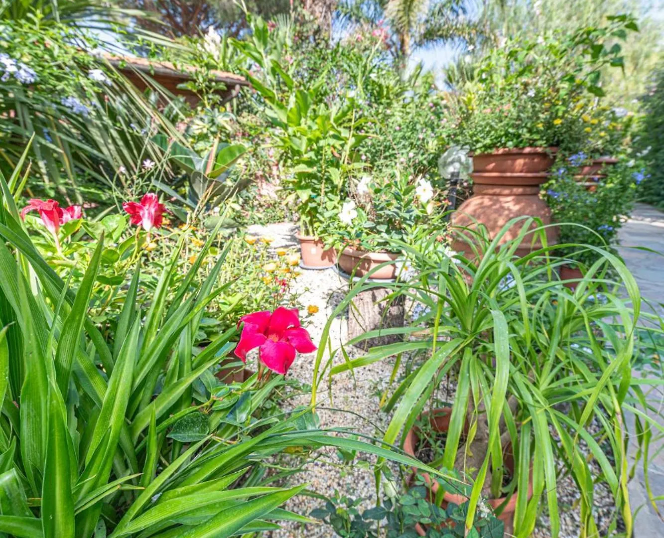 Apartment ***Villa Prestige**** Capoliveri